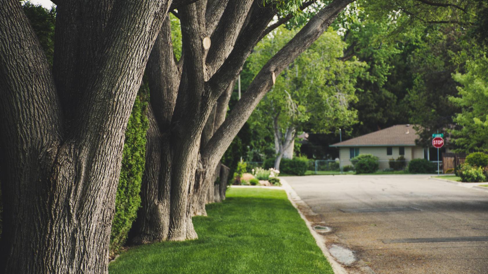 Why Setting the Right Rent Matters