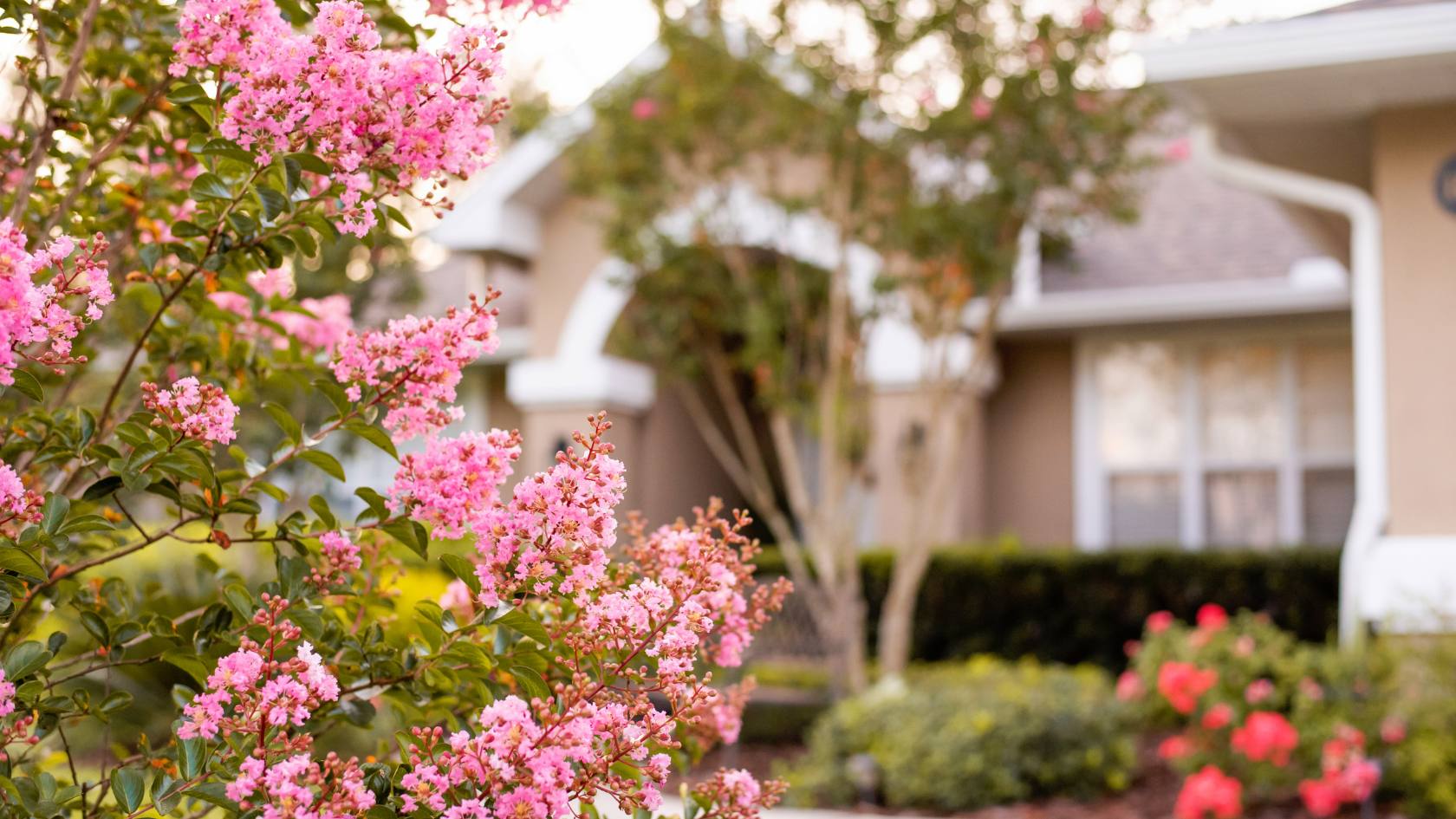 How to Handle Buyer Feedback Without Losing Confidence
